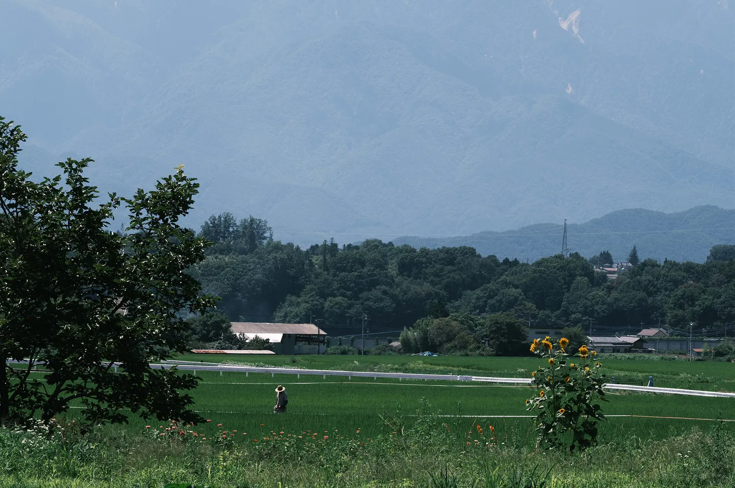 山と田園風景 北杜らしい景色