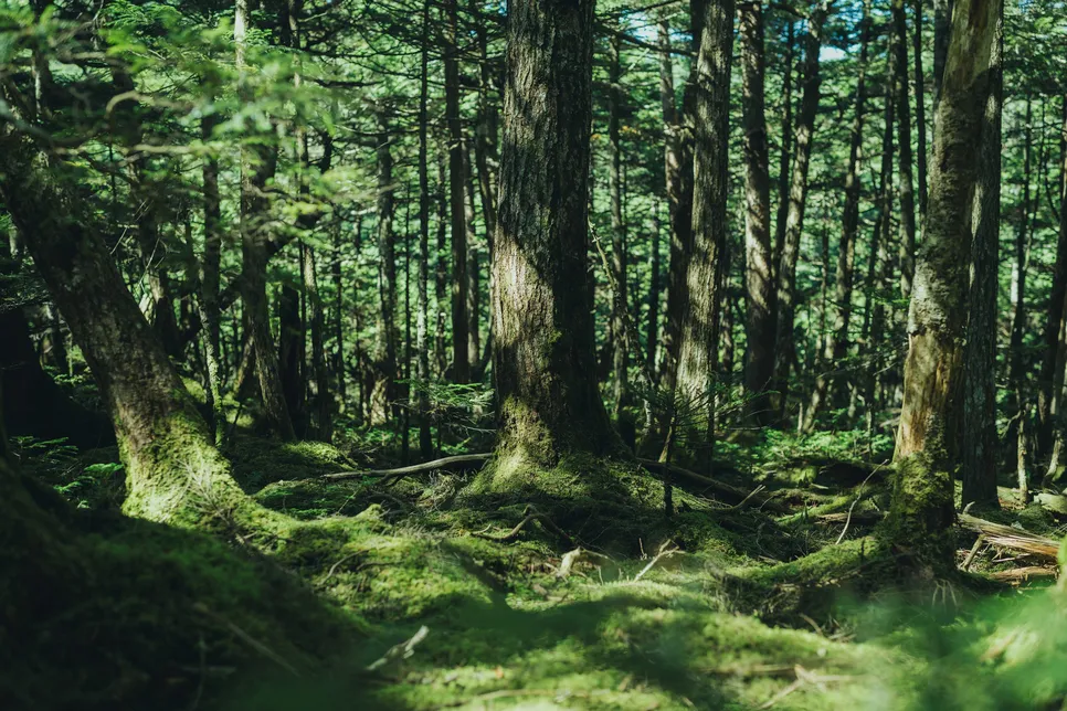 Co-Ownersイメージ
