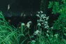 Co-Ownersイメージ サムネイル