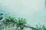 Co-Ownersイメージ サムネイル