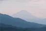 Co-Ownersイメージ サムネイル