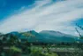 Co-Ownersイメージ サムネイル